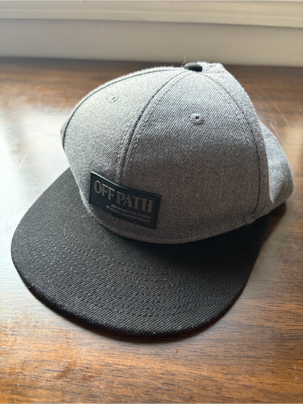 H&M Two-Tone Gray and Black 'Off Path' Snapback Hat